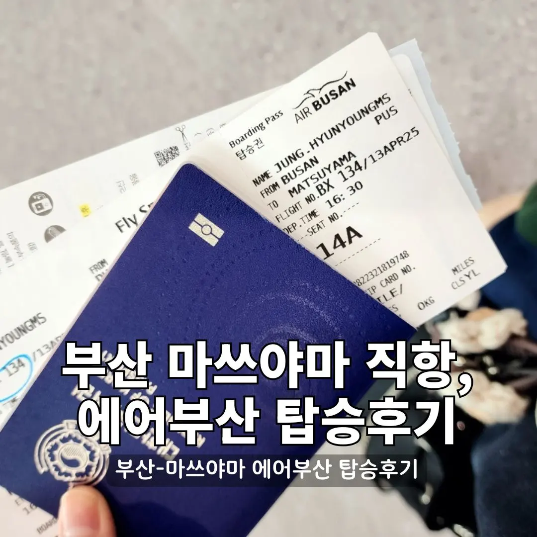부산 마쓰야마 직항, 에어부산 직접 타본 탑승 후기