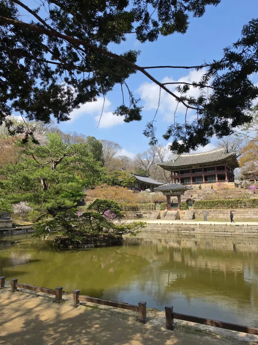 서울 궁궐 추천: 창덕궁 후원 방문 후기, 가격, 봄 현장 예매 팁