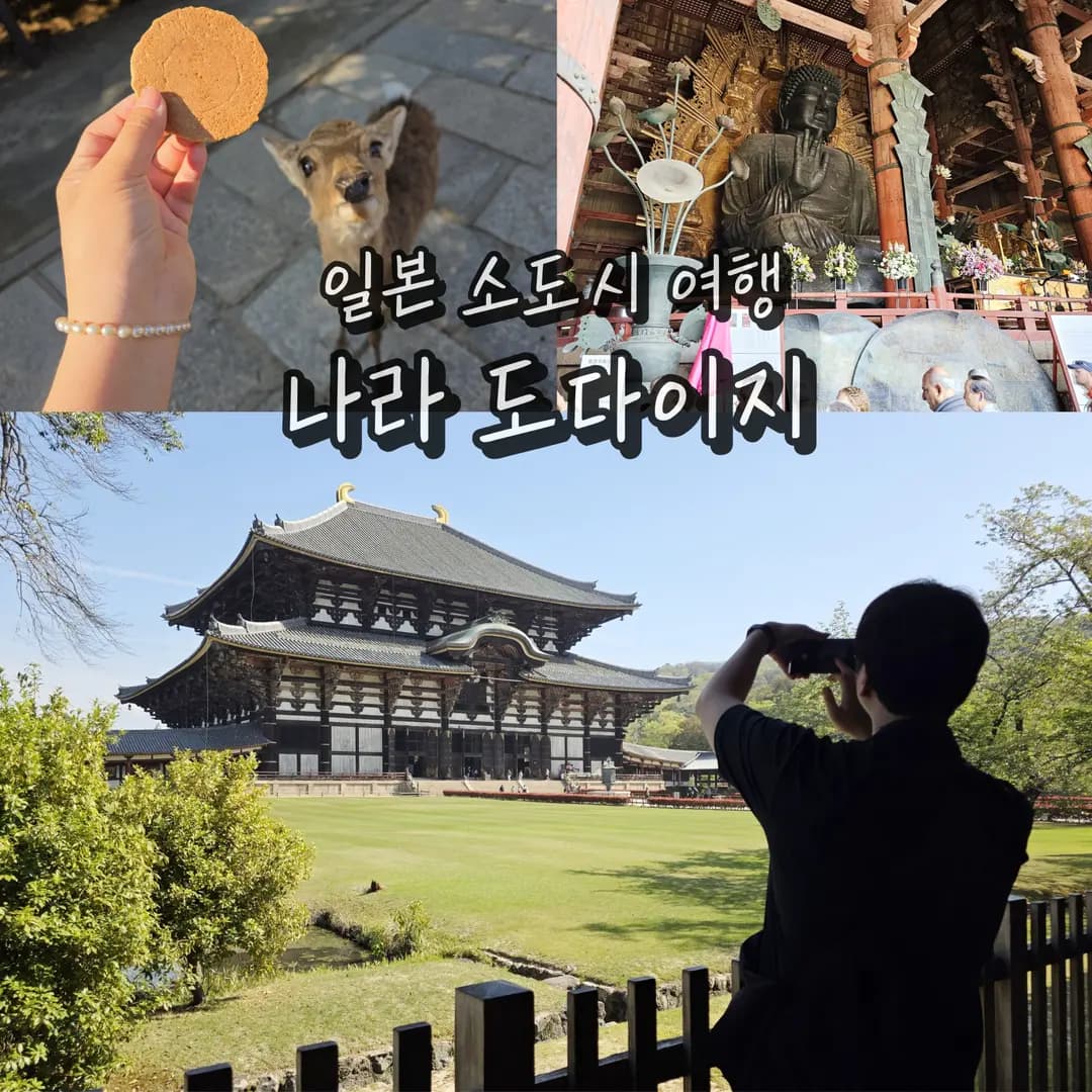 일본 나라 사슴공원 도다이지 일본소도시 뚜벅이 여행