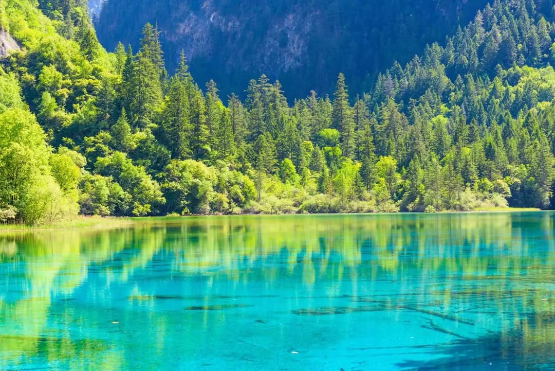 Jiuzhaigou Valley Tickets & Travel Guide 2026: Plan Your Trip