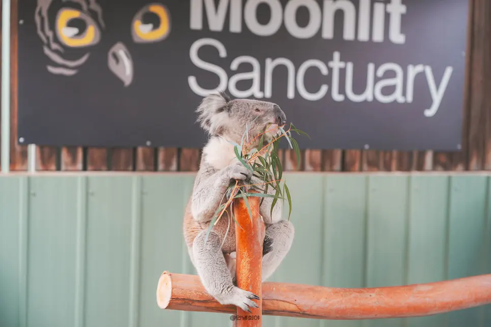 Australia Winter Vacation: Top City Destinations for 2026