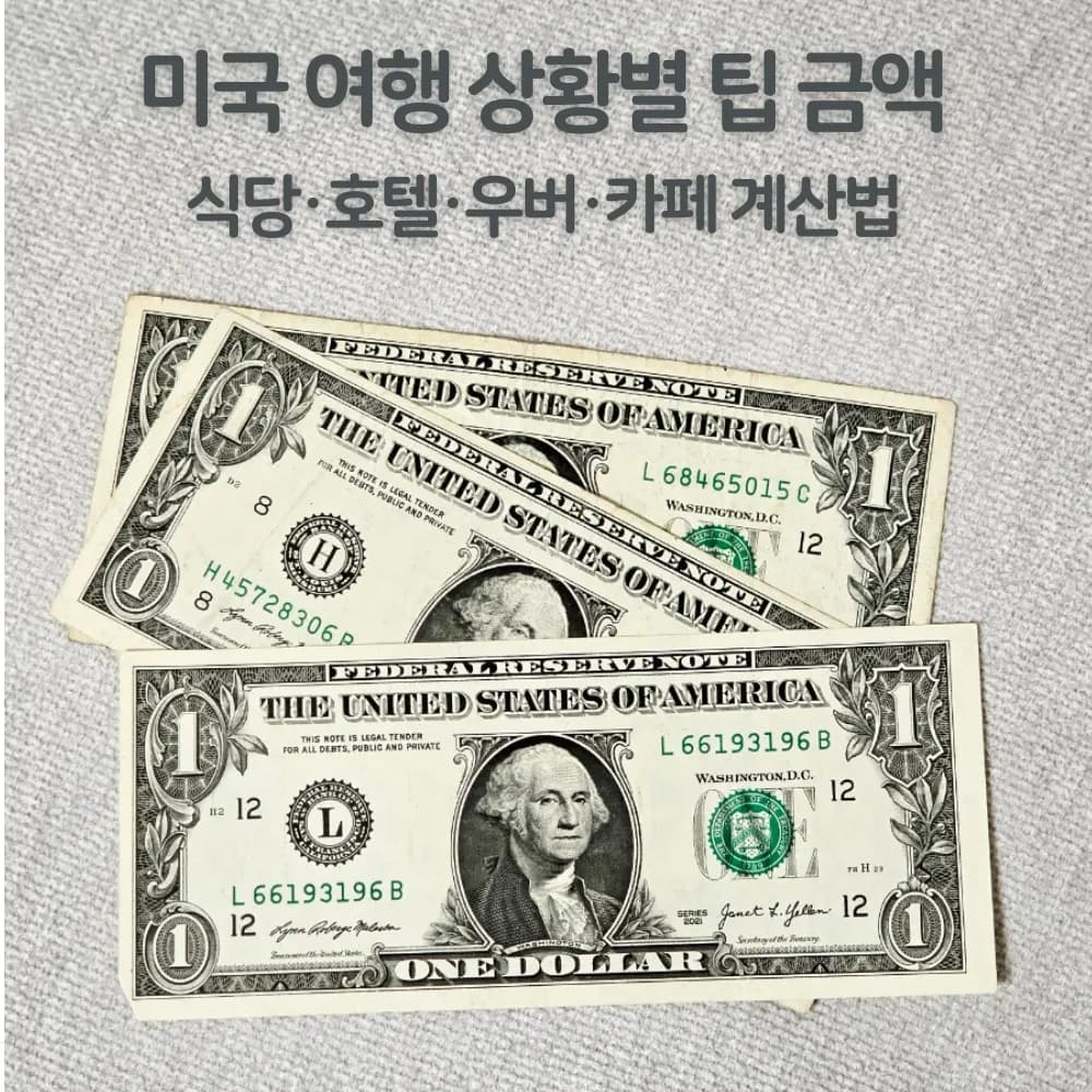 미국 팁 문화 얼마를 줘야 할까? 식당·호텔·우버·카페 팁 계산법