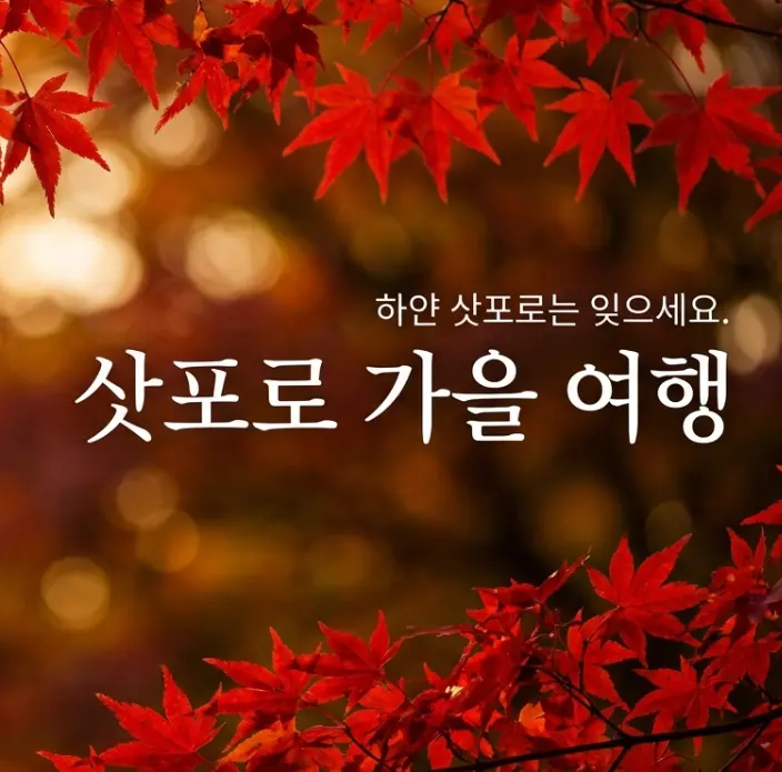 Sapporo Autumn Travel Guide 2026: Jozankei Fall Foliage & Autumn Fest