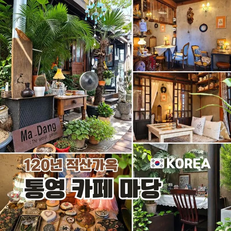 통영 카페 추천 120년 적산가옥 카페 마당
