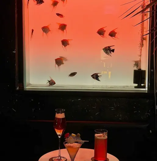 Shanghai Bar Recommendations | From aquarium-front cocktails to Bund night view bars, a collection of travel hotspots | Shanghai VUE Bar, Luminous Ocean, Penicillin