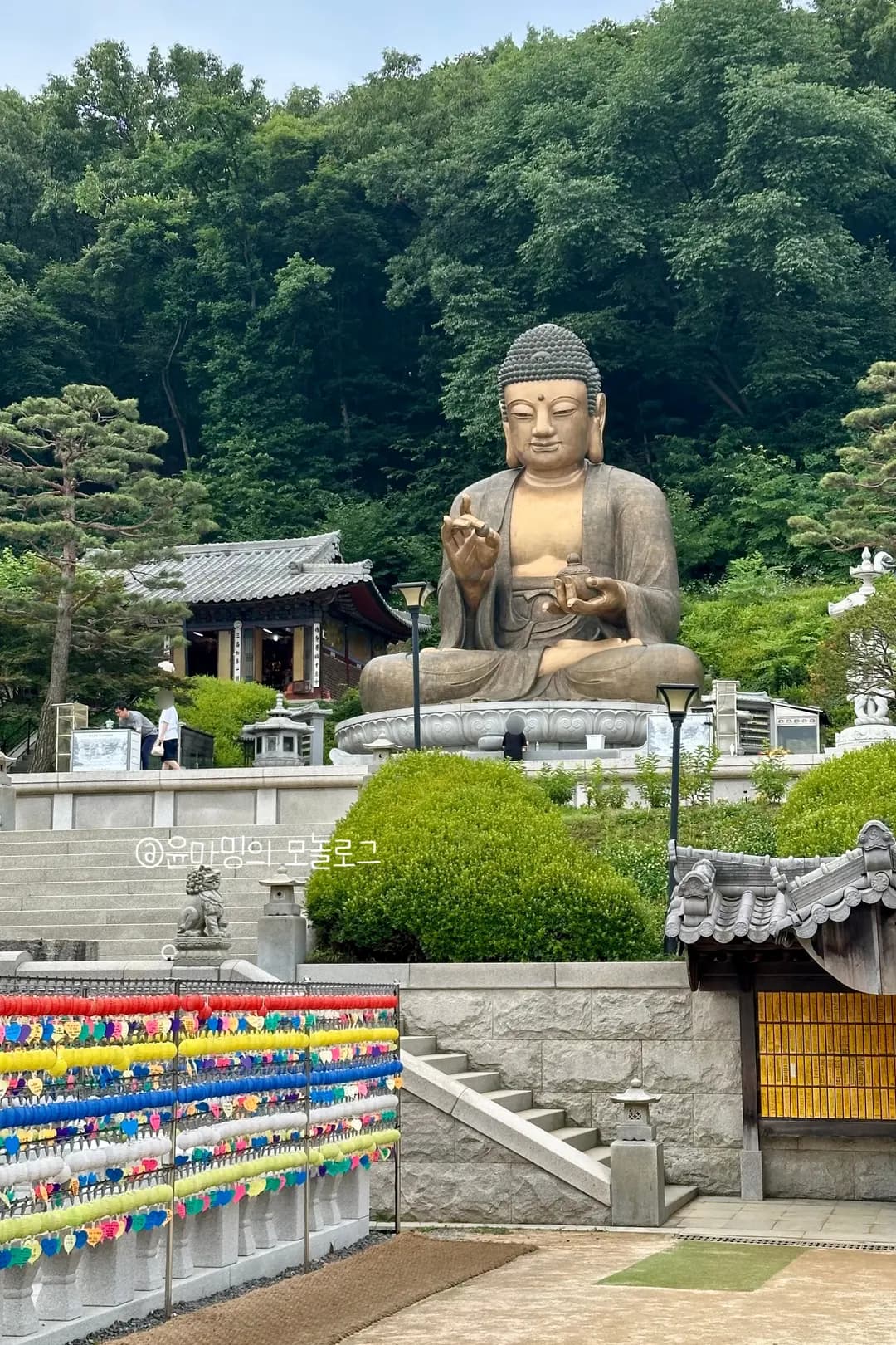 파주 가볼만한 곳 소원 명소 심학산 약천사 방문 후기