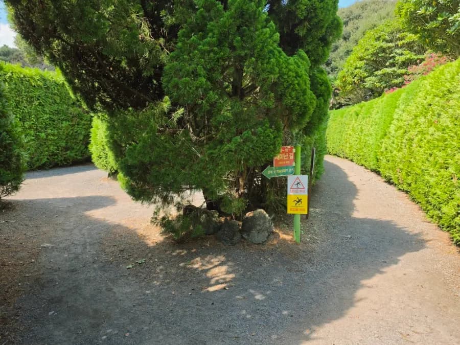 제주 메이즈랜드할인 아이랑 가볼만한곳 세계최대 미로찾기 테마파크