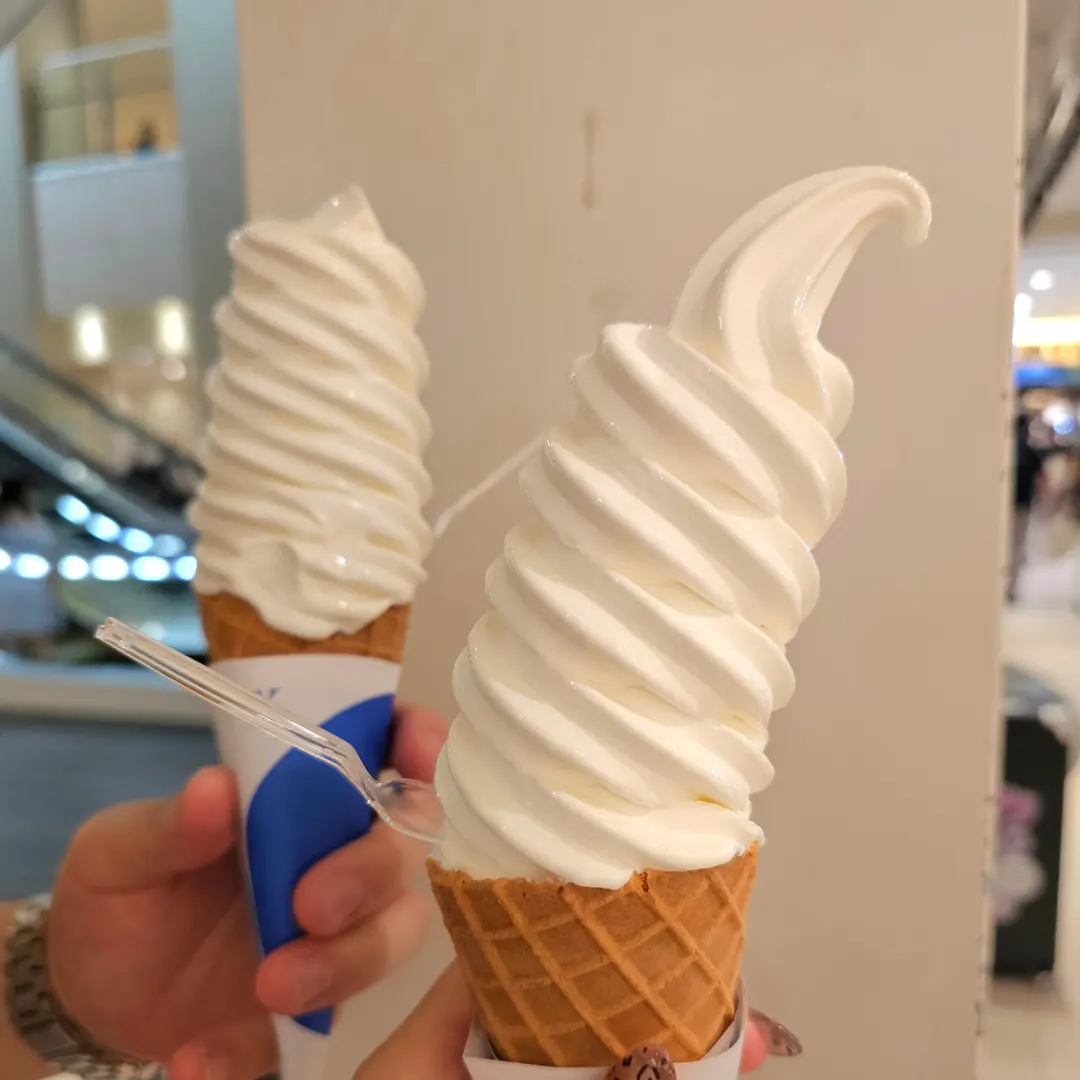삿포로 키노토야 내돈내산 솔직 후기 신치토세 공항 위치
