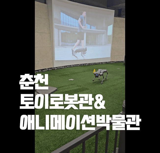Chuncheon Robot & Animation Museums: Day 2 Family Fun (2026)