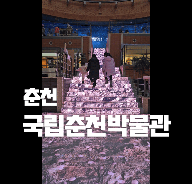 Chuncheon National Museum 2026: Interactive Media Art & Children's Museum Fun