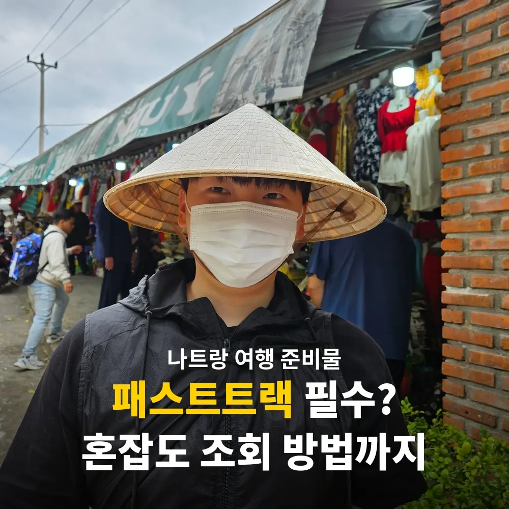 나트랑 패스트트랙 필수일까? 비행기 입국 혼잡도 확인 방법