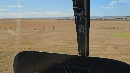 Great Ocean Road Helicopter Tour Review 2026: Melbourne Day Trip Guide