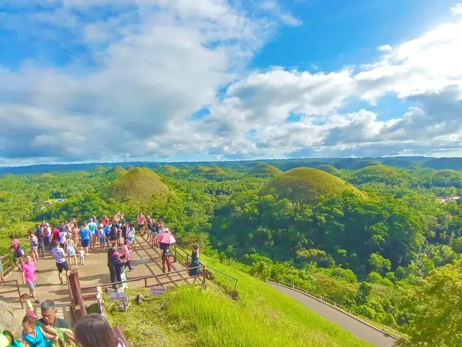 Bohol Land Tour 2026: Chocolate Hills & Tarsier Sanctuary