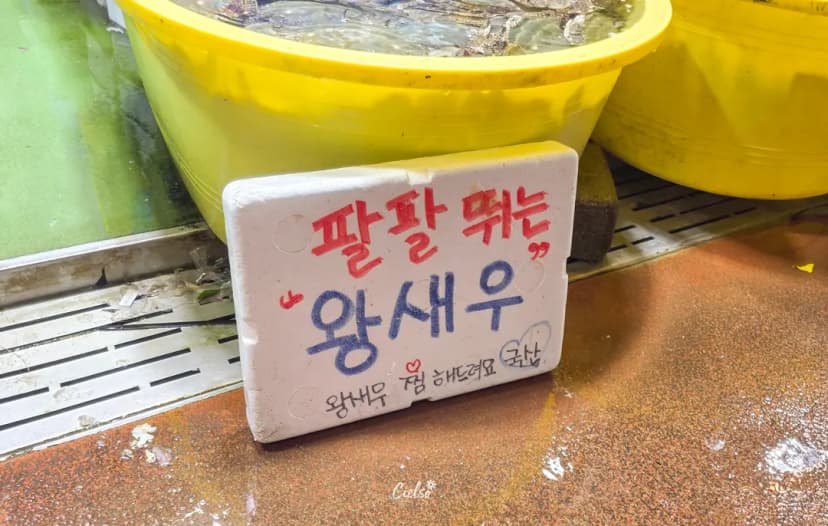외포항