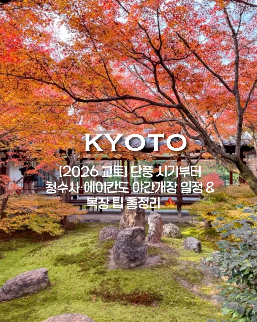 京都賞楓2026:最佳時期、清水寺永觀堂夜間點燈與穿搭攻略