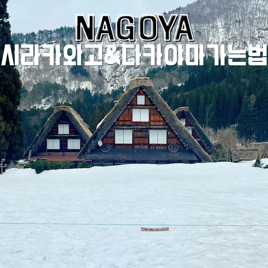 Nagoya to Shirakawa-go & Takayama 2026: Tour or Go Solo?