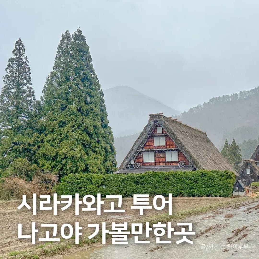 Nagoya Shirakawa-go Tour Review: Hida Takayama Day Trip