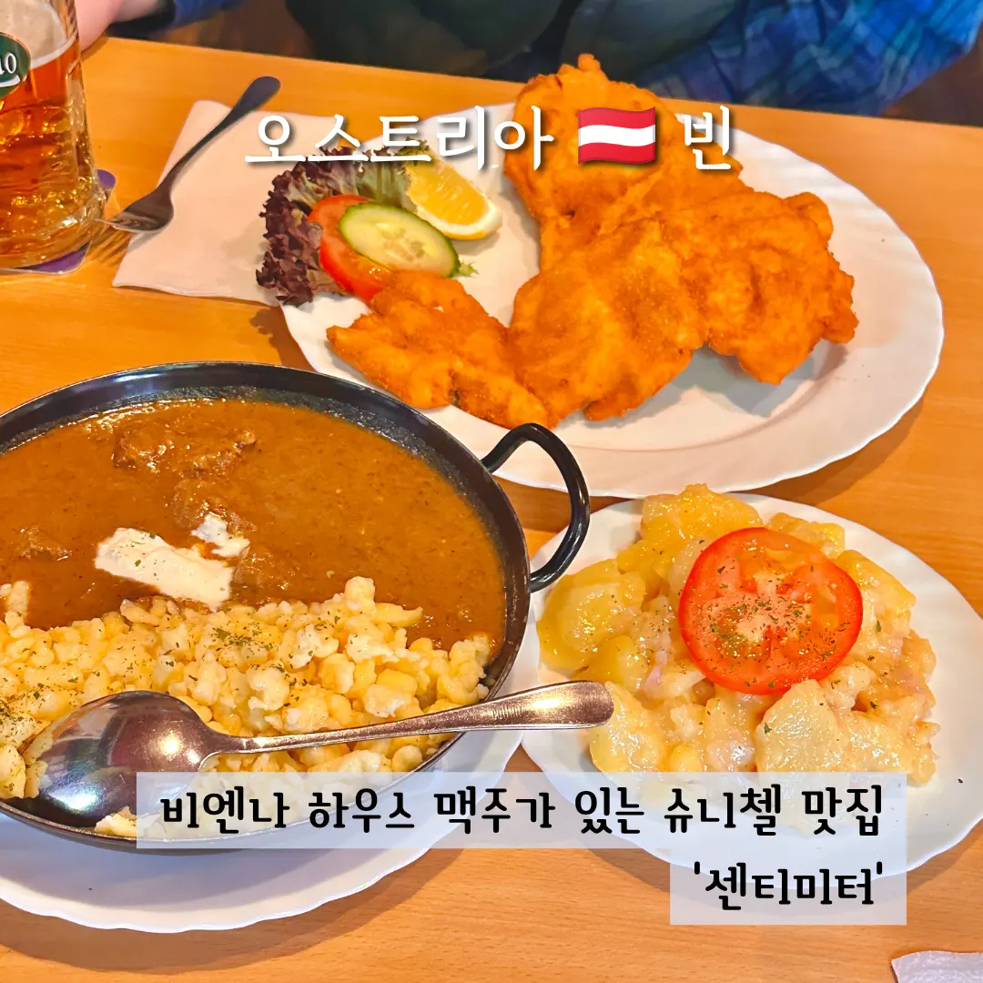 오스트리아 비엔나 맛집 센티미터 슈니첼 추천