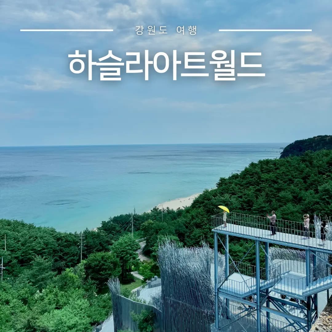 하슬라아트월드 입장권 할인 꿀팁 강릉 실내 놀거리 비오는날 아이랑 갈만한곳