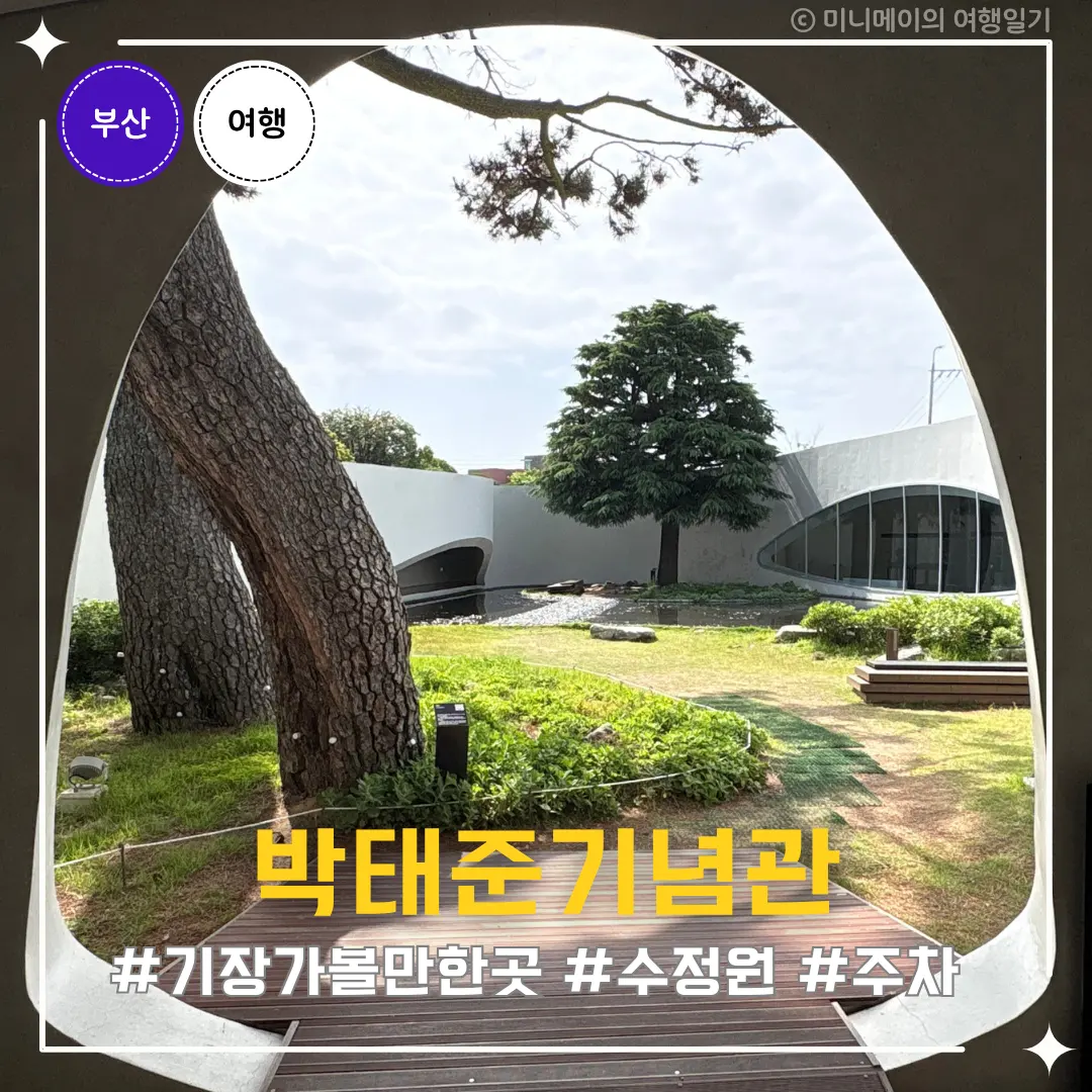 Park Tae-joon Memorial Hall Gijang: Busan's Indoor Family Fun