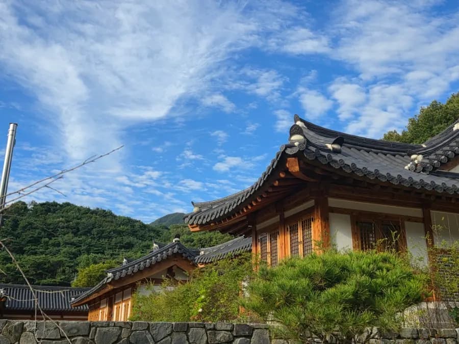 Gimcheon Solhyang Stay Review 2026: Hanok Oasis Near Jikjisa