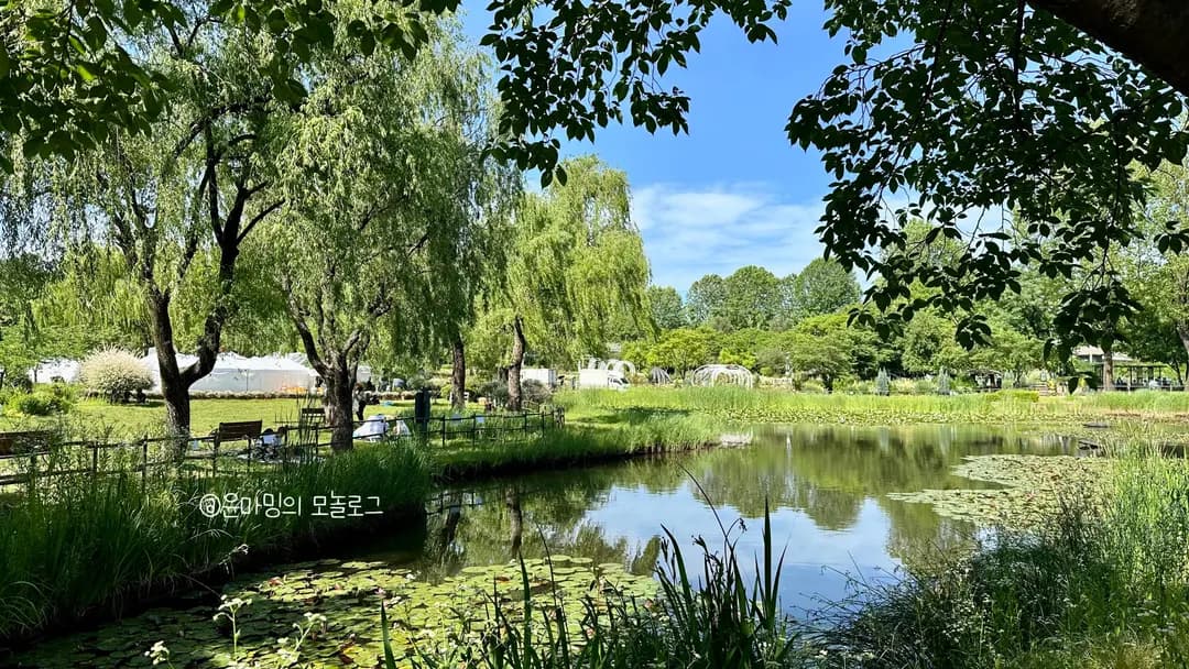 Yongsan Family Park Guide (2026): Picnic Tips & Officer's Quarters