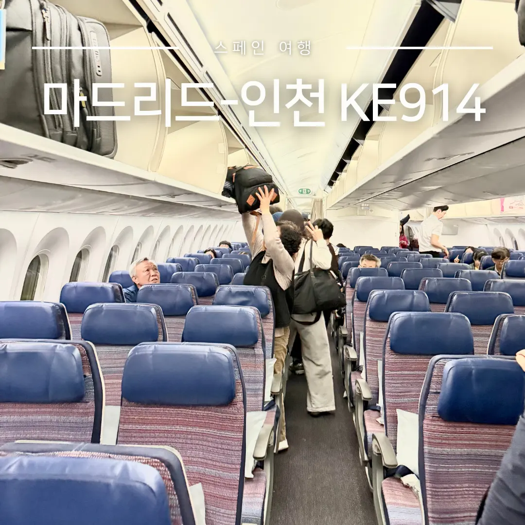 【2026年最新】大韓航空KE914 マドリード発仁川直行便の特別機内食レビュー