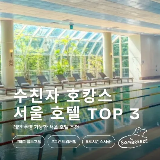 레인 수영 가능한 서울 호텔 3곳, 반차 내고 수친자 호캉스