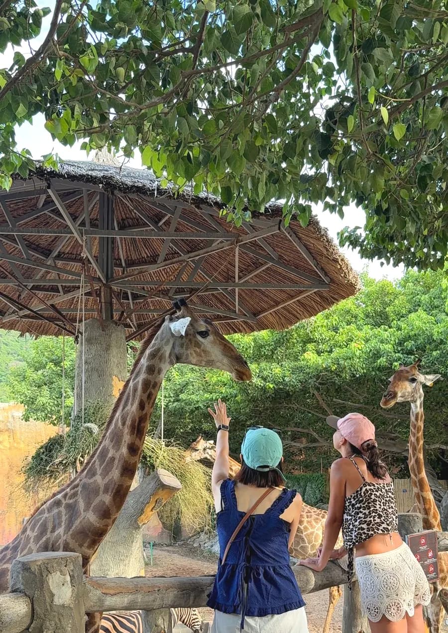 Trip.com October 2026 Flight Deals: Save on Asia Travel