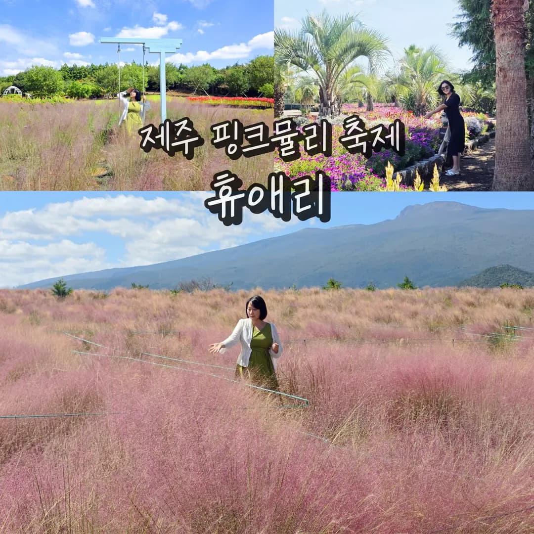 เทศกาล Pink Muhly ที่ Hueree เจจู 2026: ที่เที่ยวถ่ายรูปสวย ฟีลดีสุดๆ