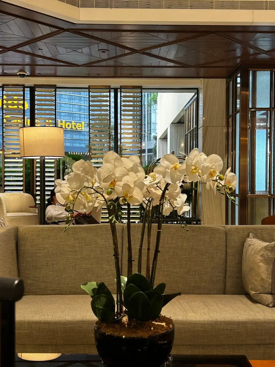 Artyzen Grand Lapa Macau 2026: Connecting Rooms & Shuttle Review