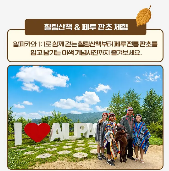 출처, 알파카월드 상세페이지