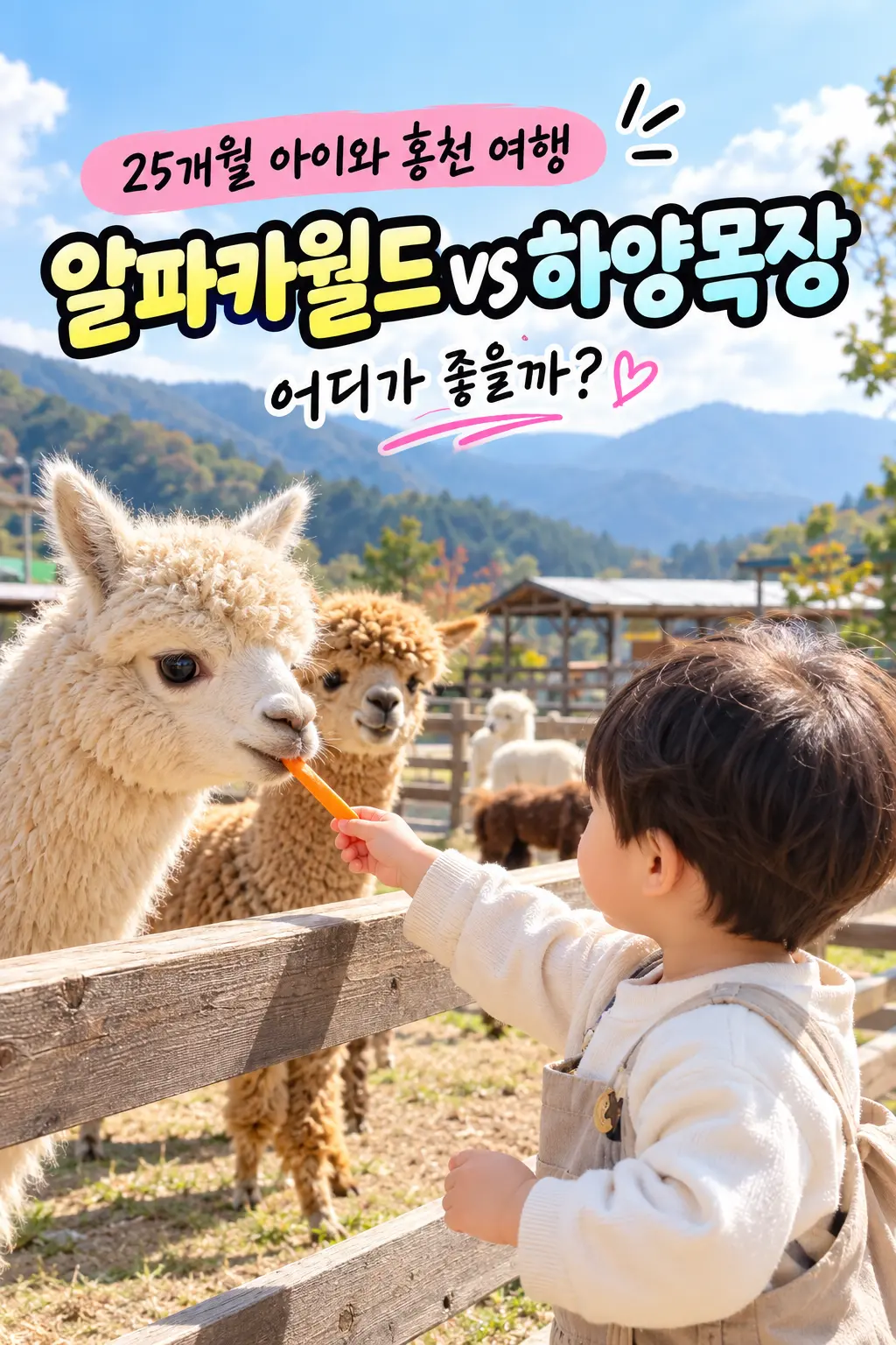 홍천 아기랑 가볼만한곳, 알파카월드 하양목장 어디가 좋을까?