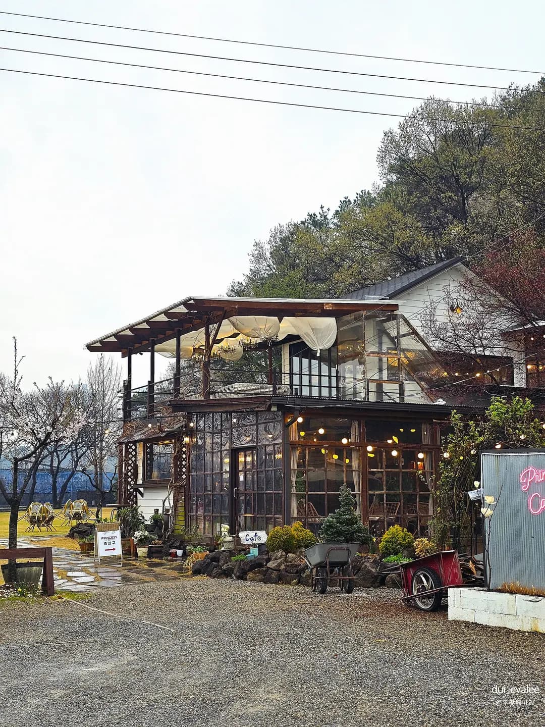 Princess Picnic Cafe Gongju 2026: A Pet-Friendly Retreat
