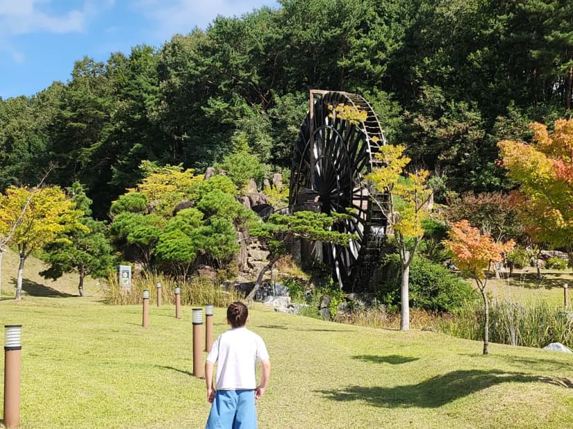 師名大師公園水車