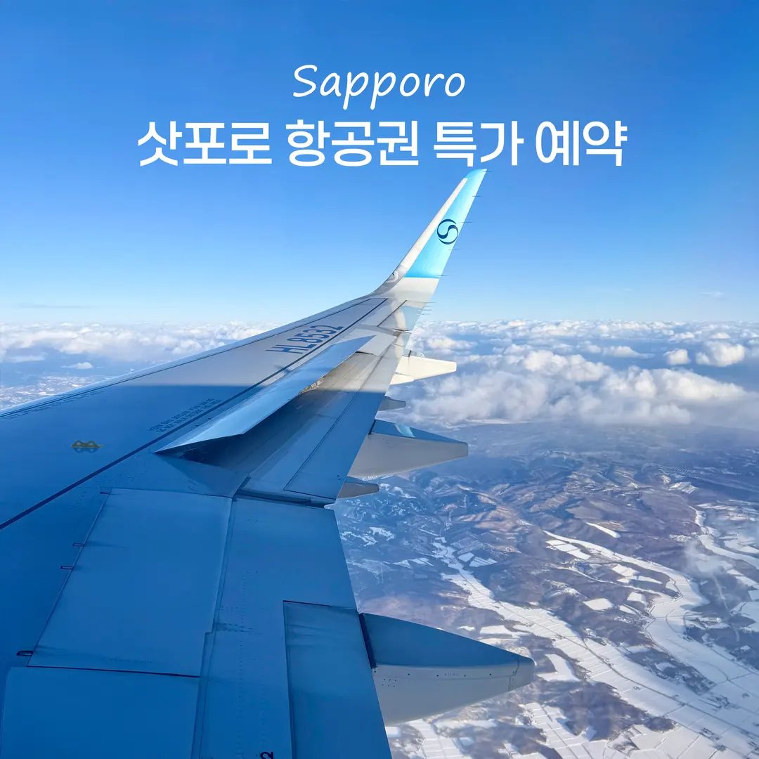 【2026年最新】札幌航空券を格安で!大韓航空機内食レビュー