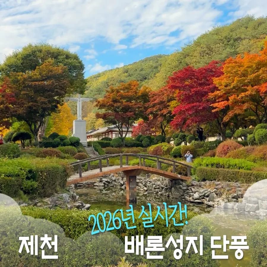 제천 단풍 명소 배론성지, 이번 주말 꼭 가야하는 실시간 상태는?