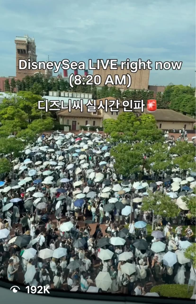 제 영상 보러가기 (사람 많아도 할만해요~ ㅎㅎ 이게 심지어 '보통 혼잡'이었어요)