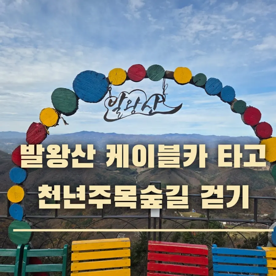 평창 가을 여행 발왕산케이블카 타고 단풍 구경 후기