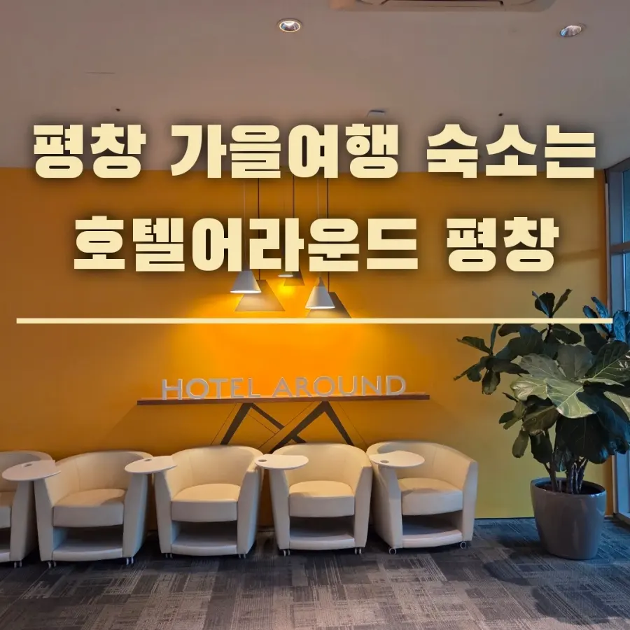 평창 휘닉스파크 숙소 호텔어라운드 평창 주니어 스위트 트윈 숙박 후기