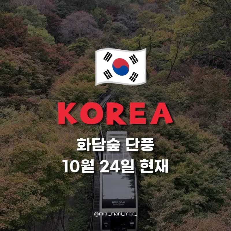 화담숲 단풍 10월 24일 절정 시기 모노레일 예약