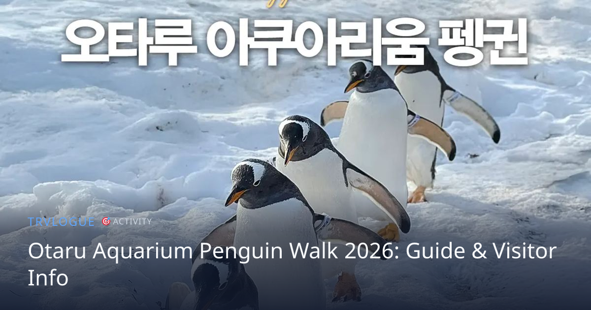 Otaru Aquarium Penguin Walk 2026: Guide & Visitor Info | TRVLOGUE