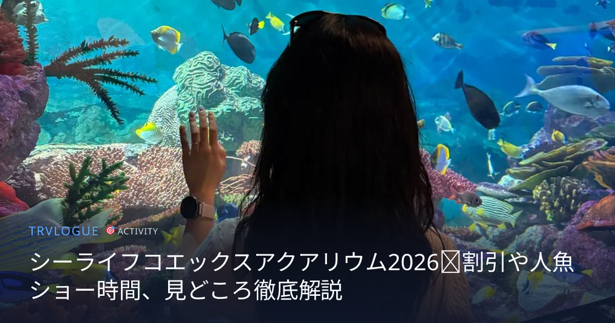 シーライフコエックスアクアリウム2026｜割引や人魚ショー時間