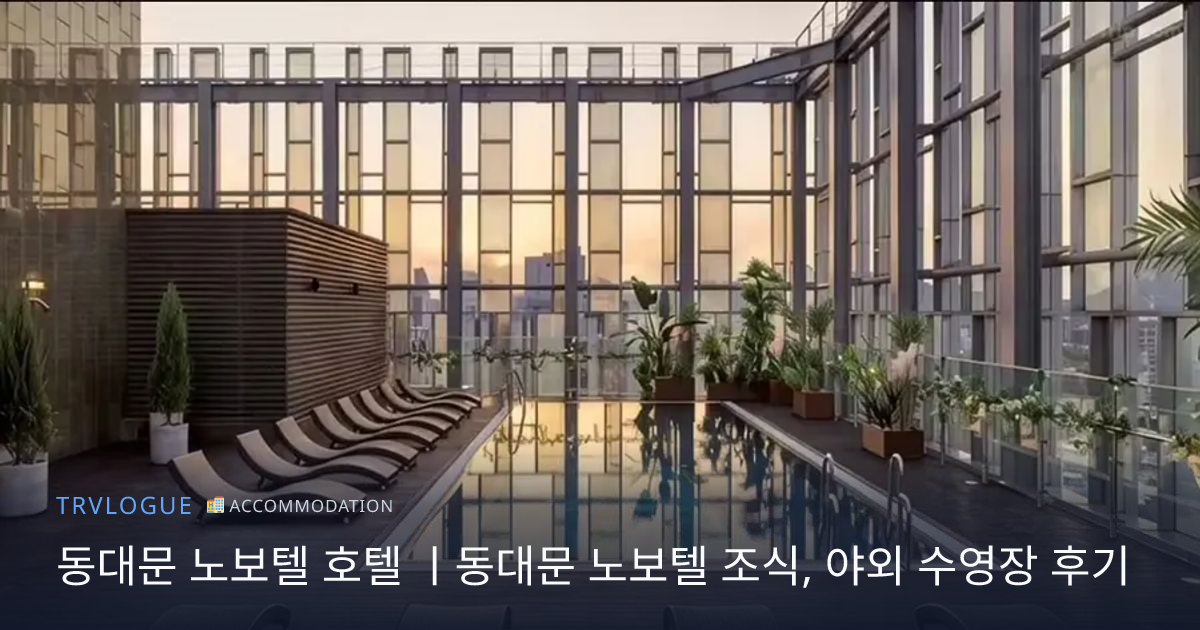 동대문 노보텔 호텔 ㅣ동대문 노보텔 조식, 야외 수영장 후기